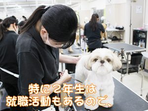 スキルアッププログラム♪